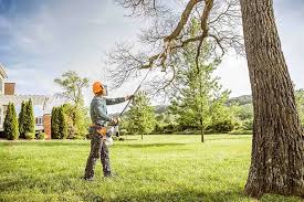 Best Landscape Design and Installation  in El Campo, TX