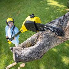 Best Lawn Watering Services  in El Campo, TX